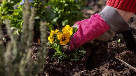 Was Du Von Alten Gartenbüchern Lernst